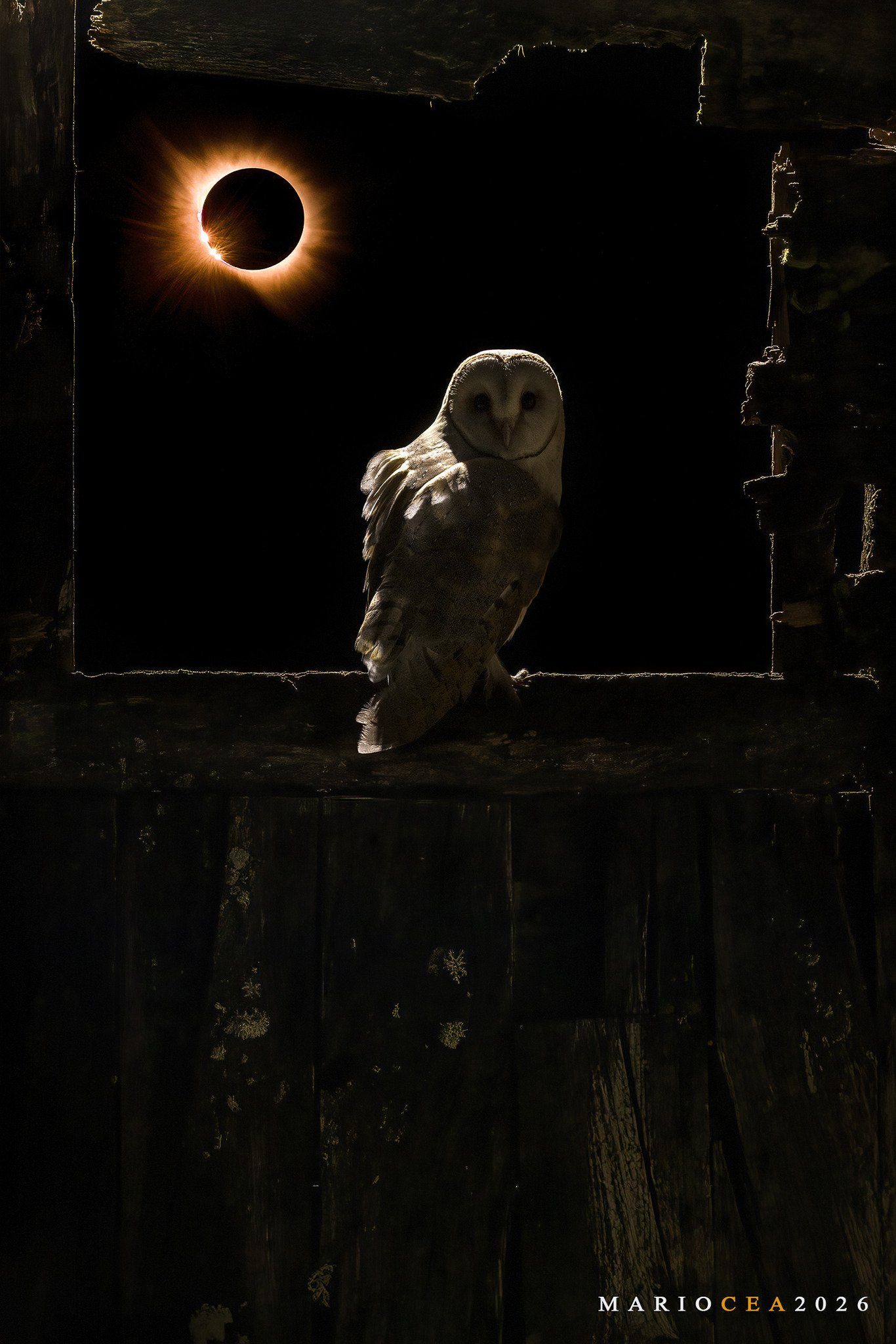 Fotografía para el taller de fotografía de Noja.